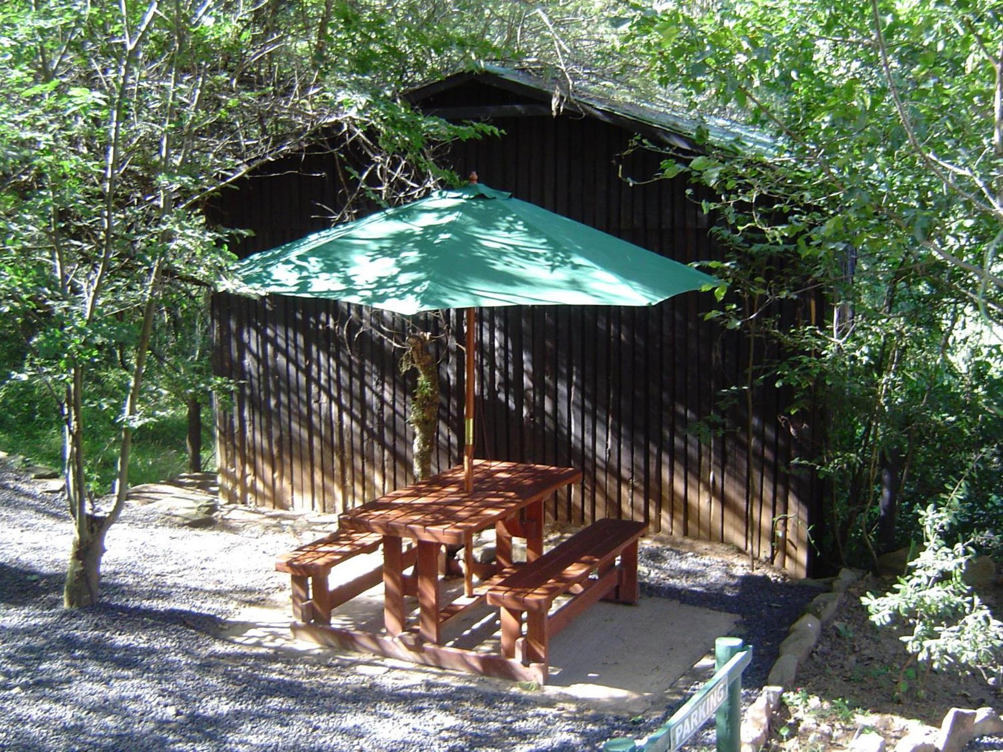 Forest Creek Lodge & Spa Dullstroom Exteriör bild
